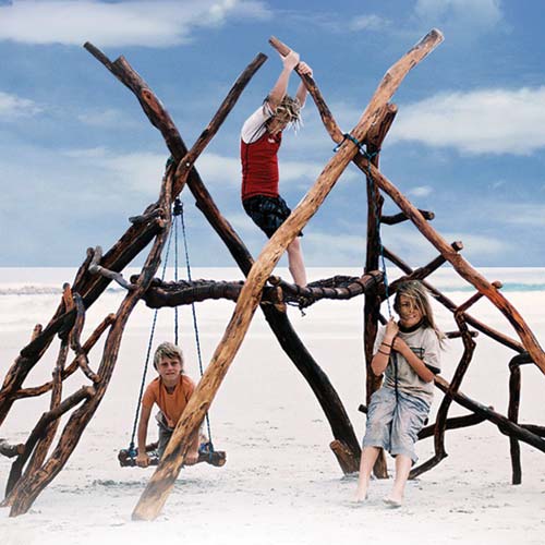 natural wooden jungle gym with swings