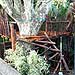 wooden ladder into treehouse