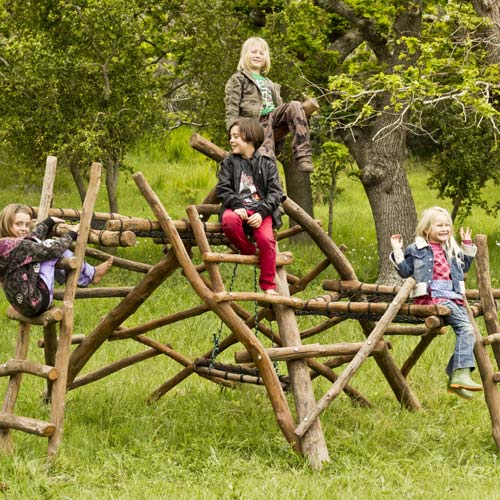 Jungle Gym: Model-B natural wooden jungle gyms