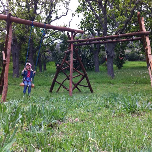 Jungle Gym: Model-D natural wooden jungle gym
