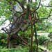 climbing treehouse